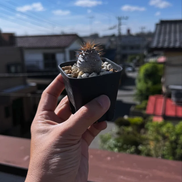 3Dプリンターで作った「UKEZARA」で植物育成の悩み解消！機能と